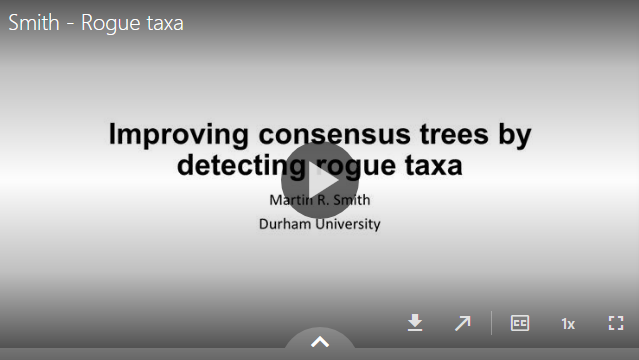 Detecting rogue taxa with information theory