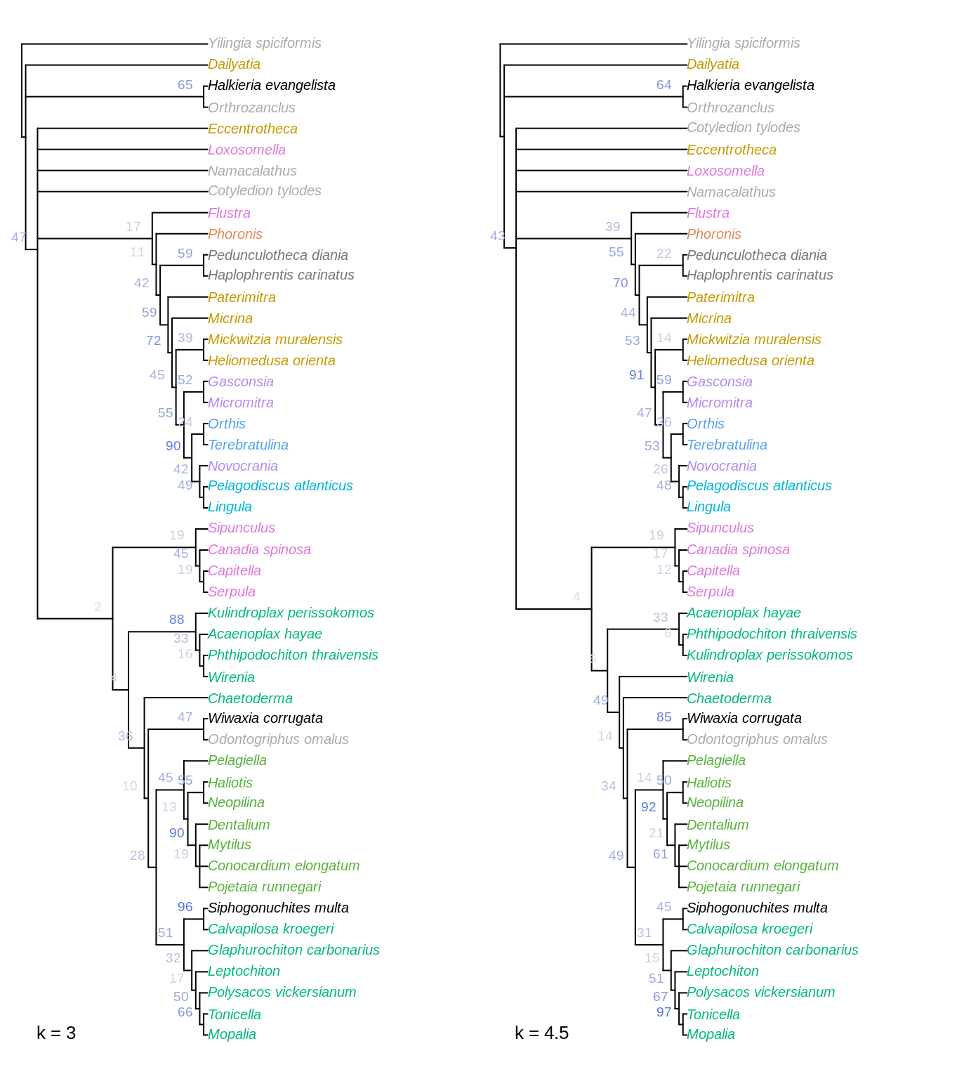 Strict consensus of all optimal trees under Fitch parsimony with implied weighting at k = 3 and 4.5. Nodes labelled with jackknife frequencies (%).