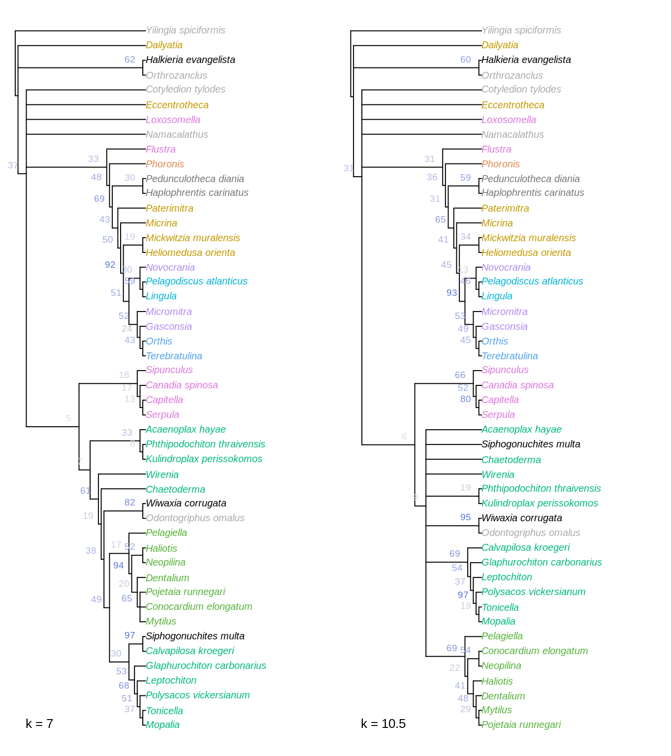 Strict consensus of all optimal trees under Fitch parsimony with implied weighting, at k = 7 and 10.5.