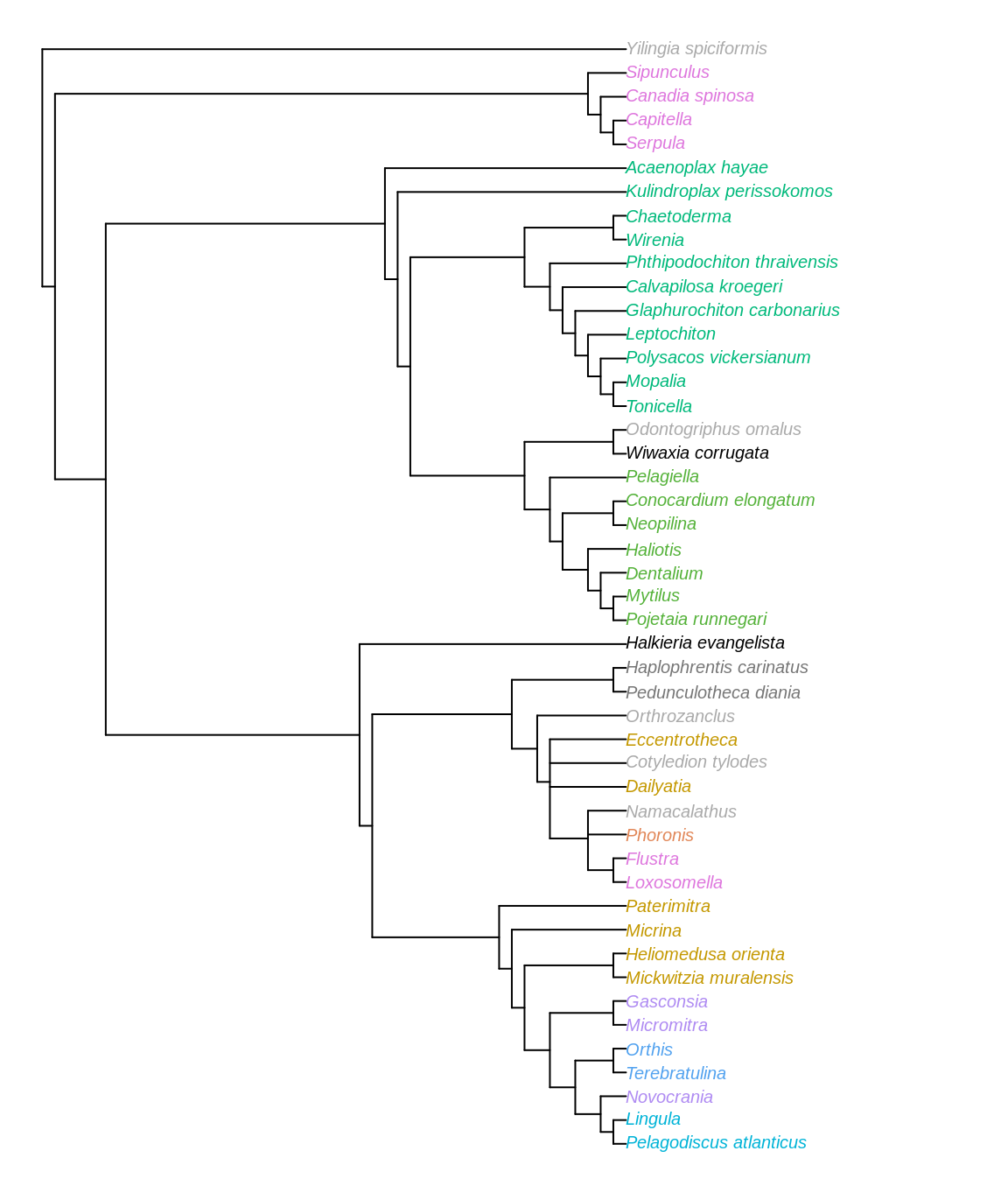 Strict consensus of most parsimonious trees under equally weighted parsimony