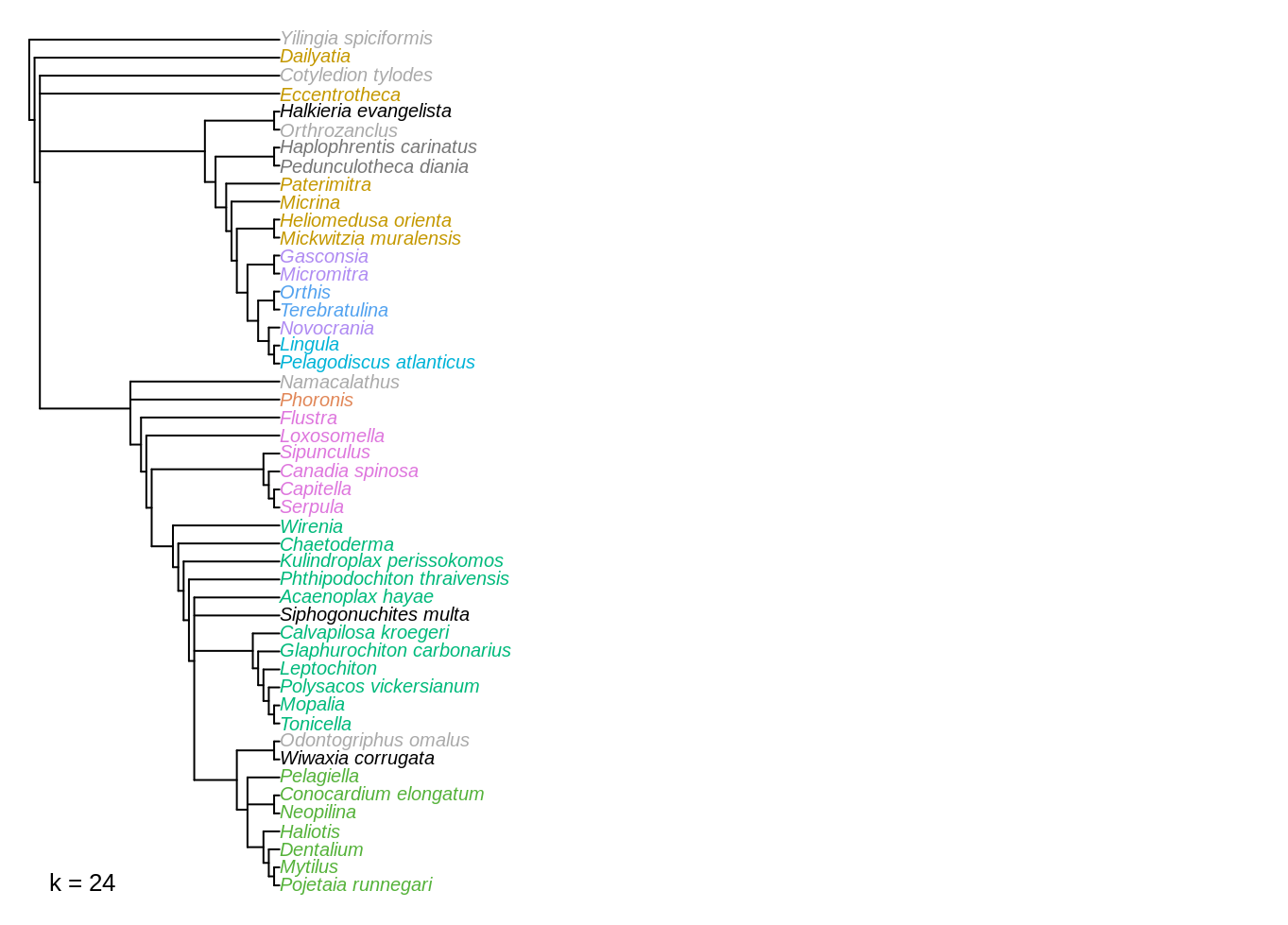 Strict consensus trees of implied weights analyses at k = 16 and 24.