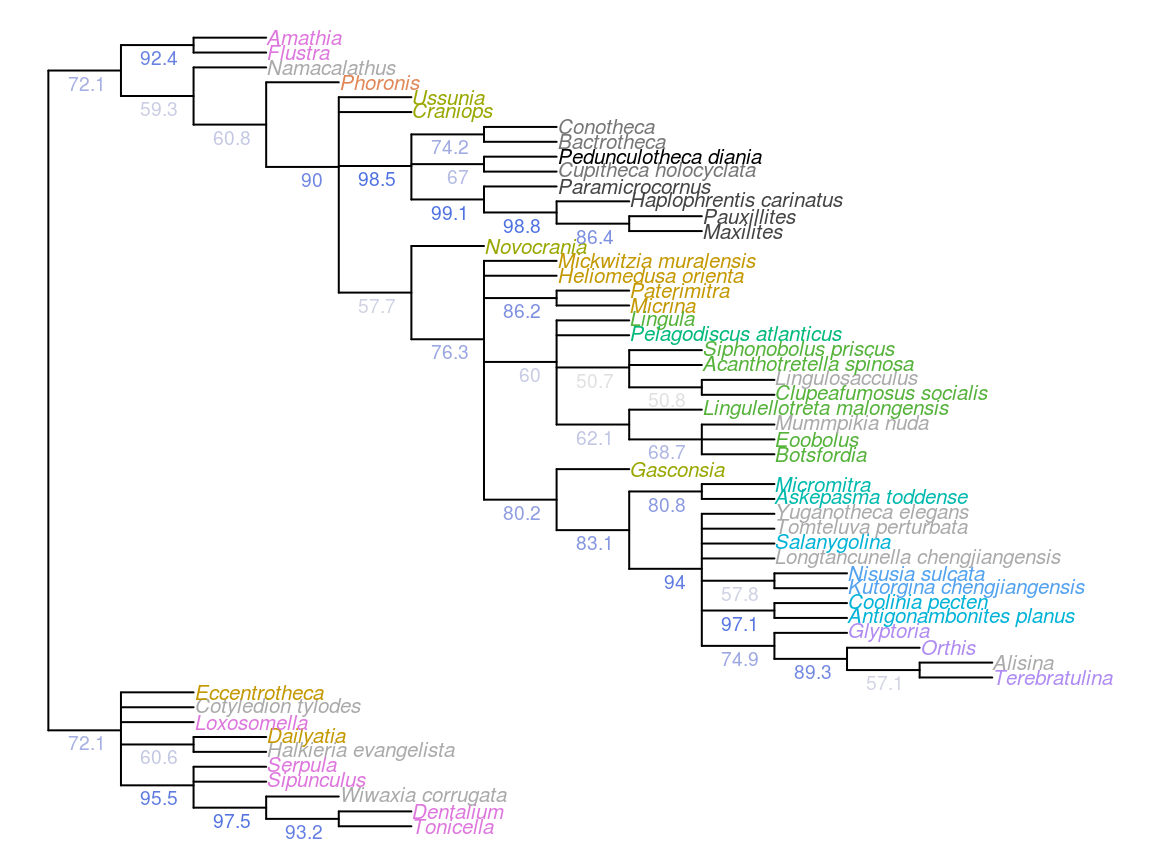 Results of Bayesian analysis, posterior probability > 50%, all taxa