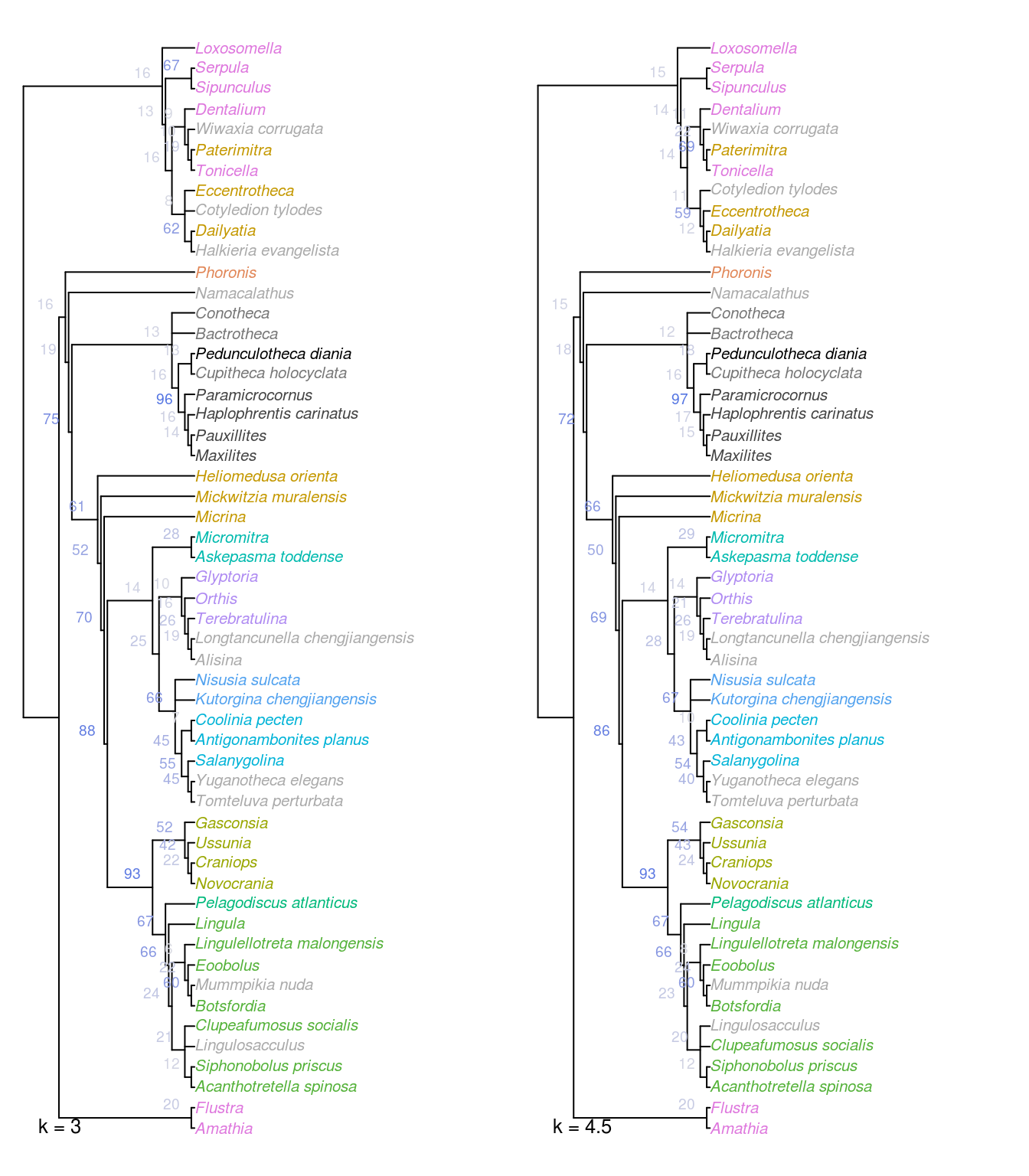 Strict consensus of all optimal trees under Fitch parsimony with implied weighting at k = 3 and 4.5. Nodes labelled with jackknife frequencies (%).