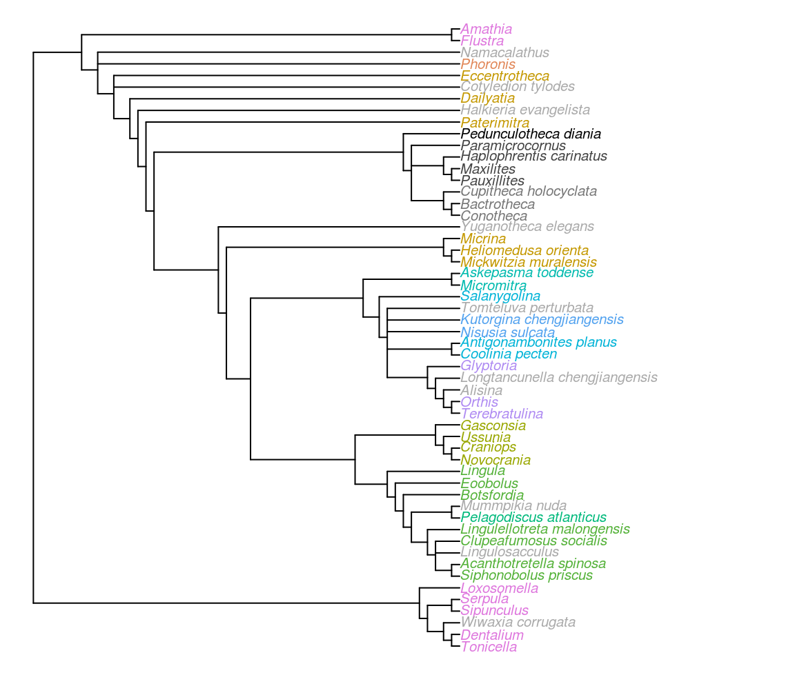 Strict consensus of most parsimonious trees under equally weighted parsimony