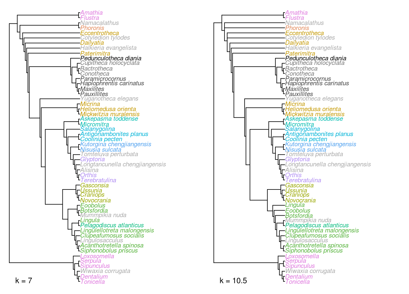 Strict consensus trees of implied weights analyses at k = 7 and 10.5.